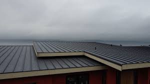 Roof Coating Services in Fairmont City, IL